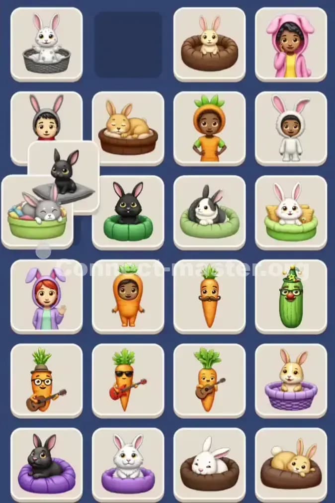 Connect Master Level 1047 Solution 3
