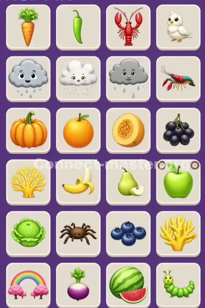 Connect Master Level 1005 Solution 1