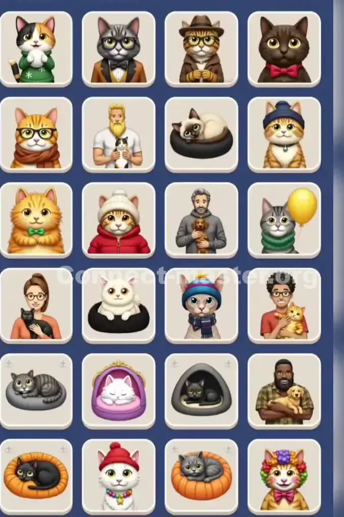Connect Master Level 1003 Solution 1