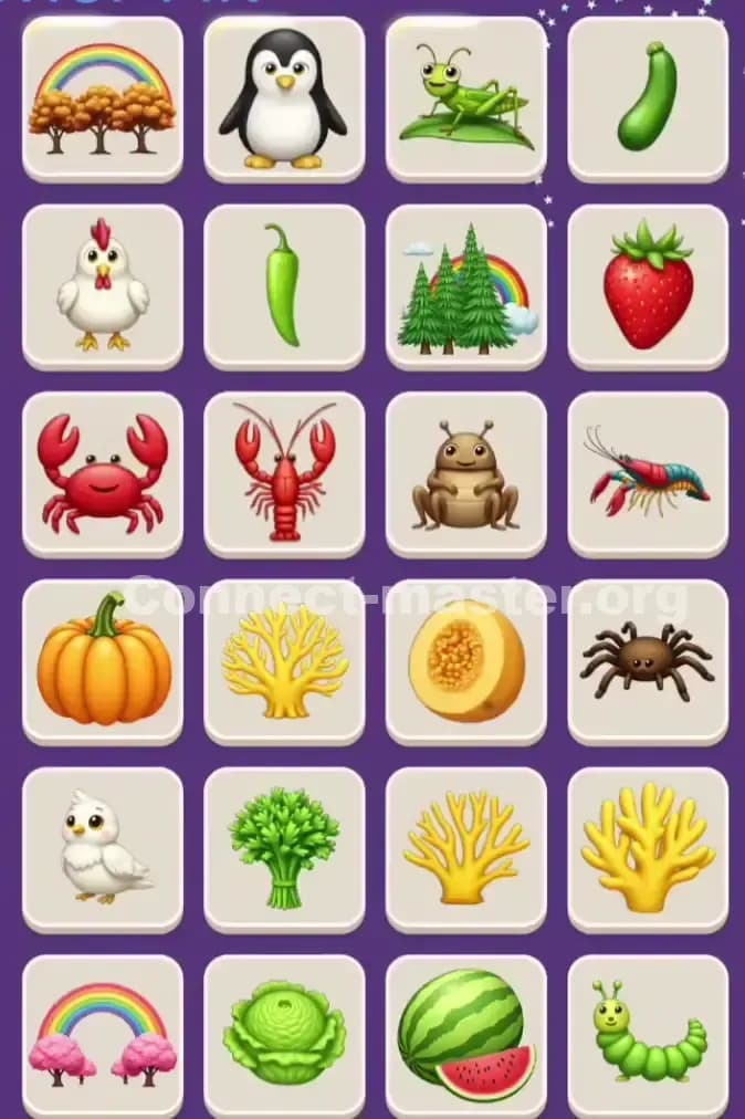 Connect Master Level 1005 Solution 2