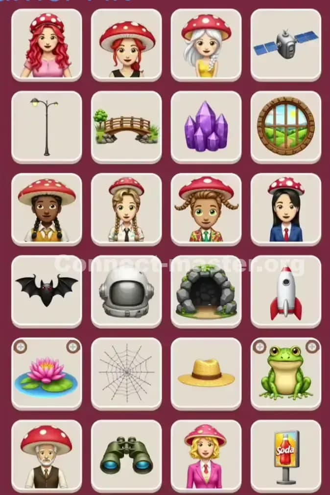 Connect Master Level 1010 Solution 2