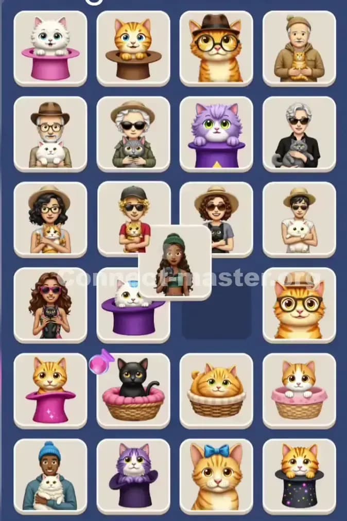 Connect Master Level 1202 Solution 2